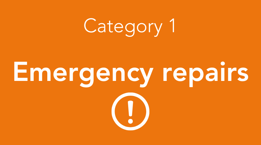 Emergency Repairs Cat 1