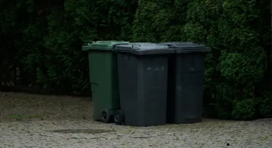 Bins