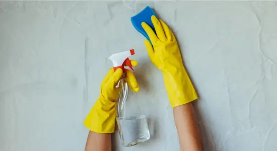 Using a sponge and a wash to clean damp and mould.png