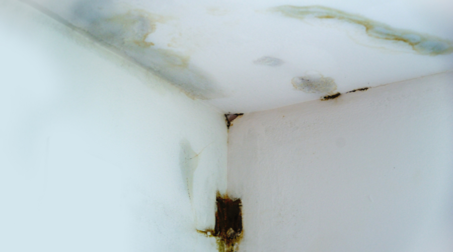 Damp Caused By Faulty Plumbing Leaking Water In The Home