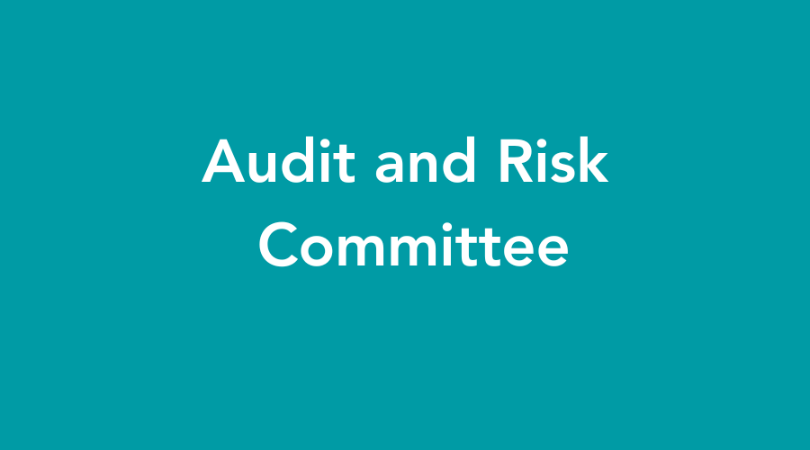 Audit and Risk Committee